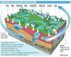 海綿城市